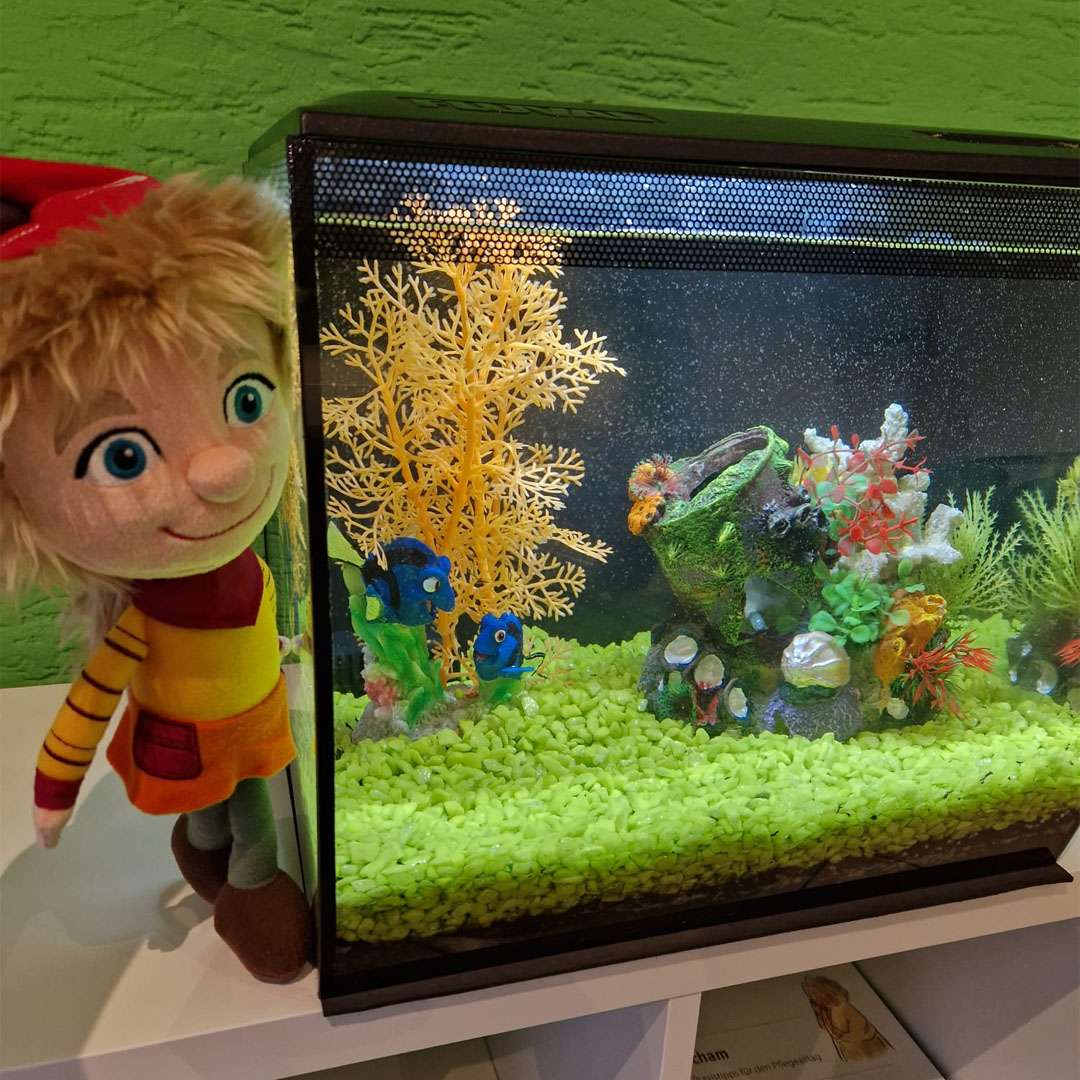 Fische